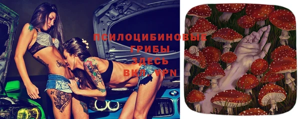 каннабис Алексеевка